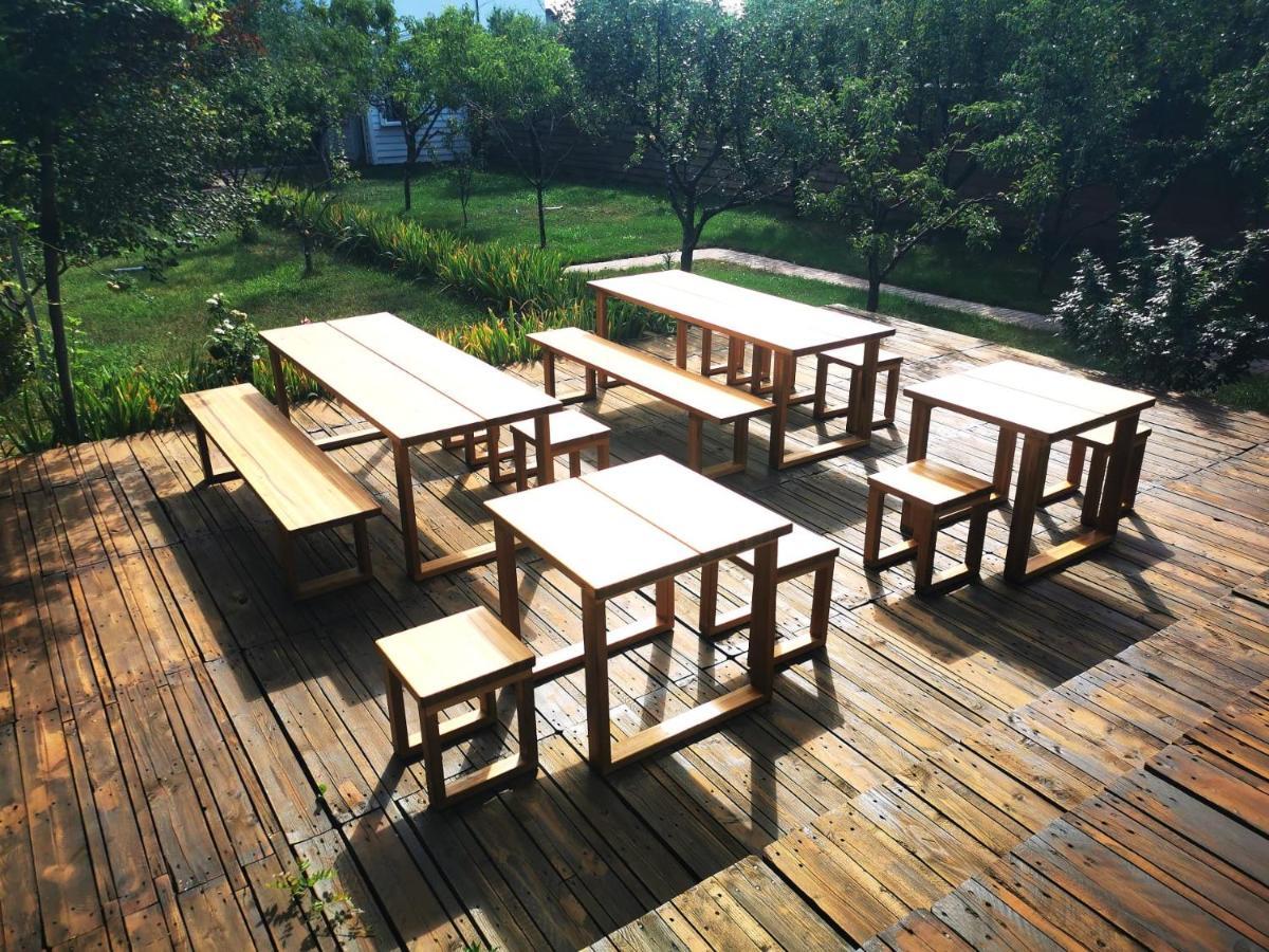 Biolocalia House Dobrogea Daire Balotesti Dış mekan fotoğraf