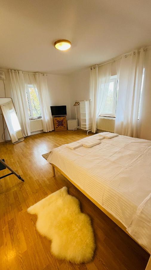 Biolocalia House Dobrogea Daire Balotesti Dış mekan fotoğraf