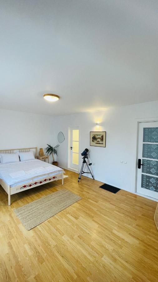 Biolocalia House Dobrogea Daire Balotesti Dış mekan fotoğraf