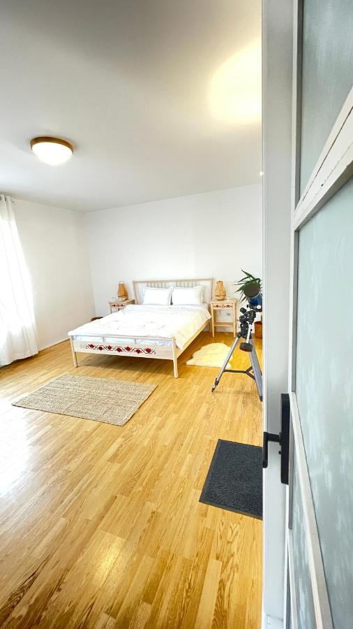Biolocalia House Dobrogea Daire Balotesti Dış mekan fotoğraf